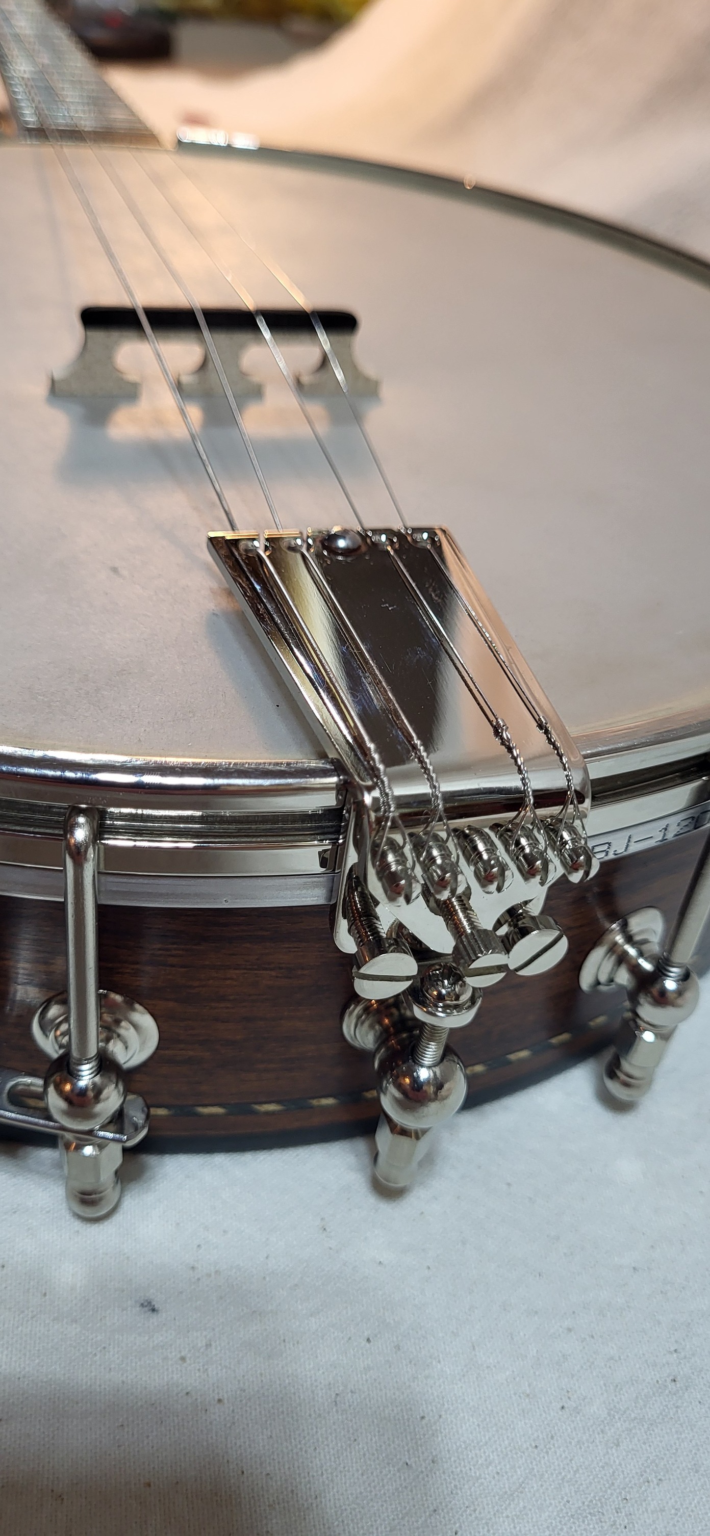Second Life Banjo